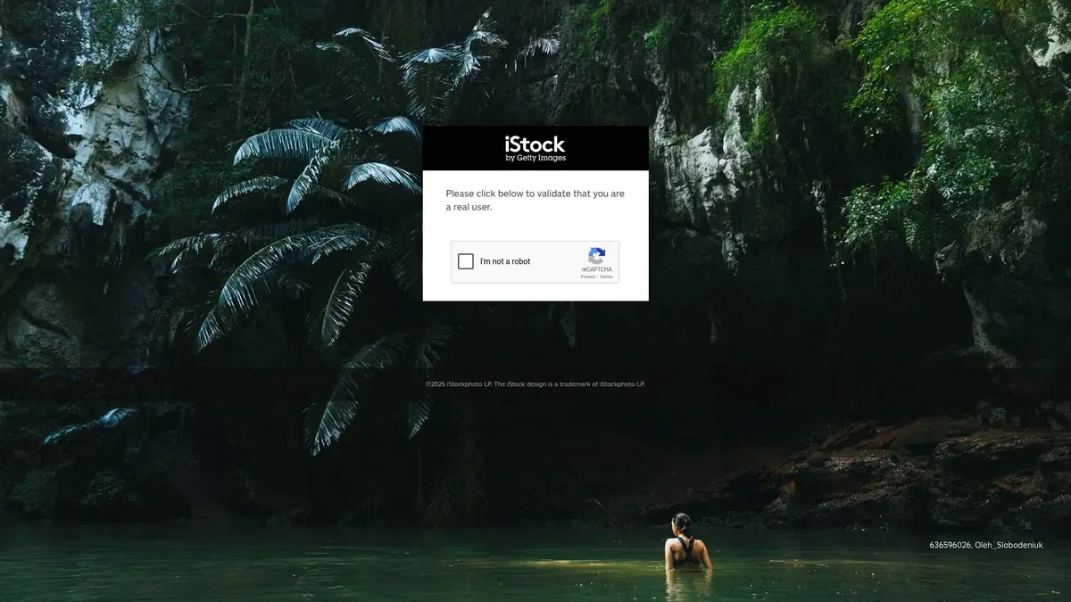Istock Downloader website preview