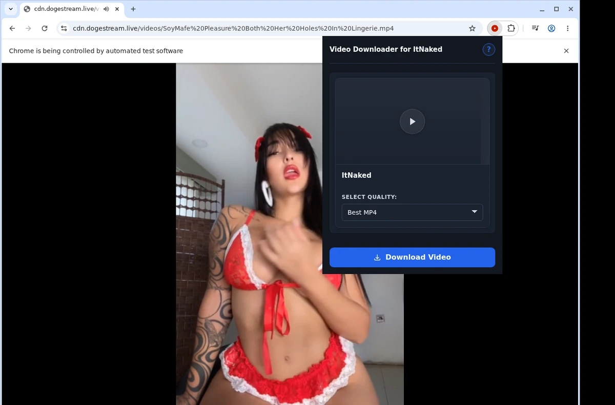 ItNaked Video Downloader ready state screenshot