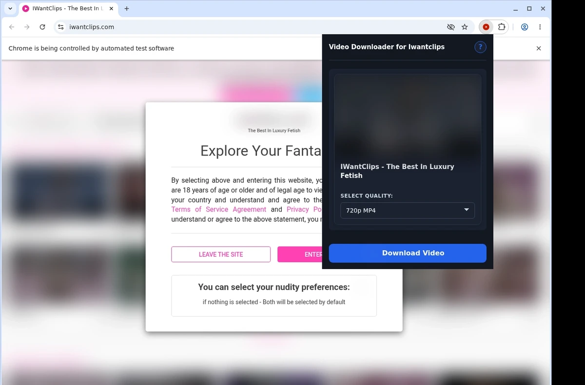 iWantClips Downloader ready state screenshot