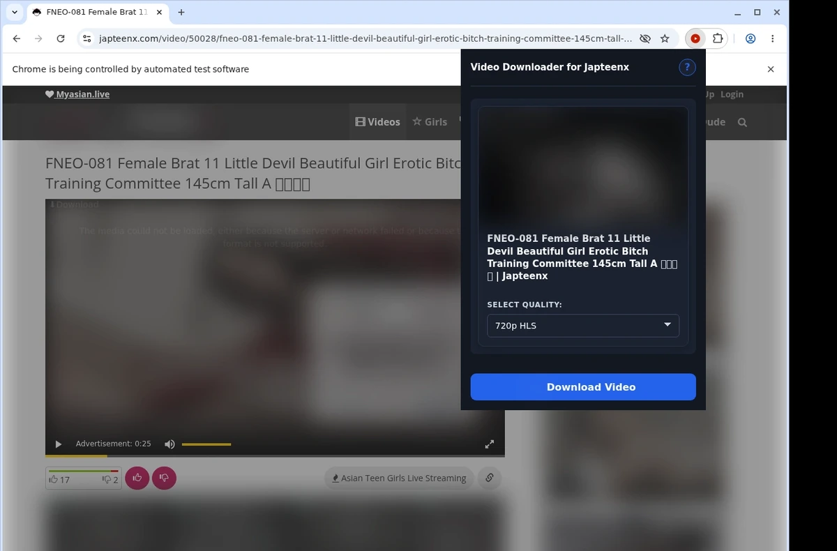 JapTeenX Video Downloader ready state screenshot
