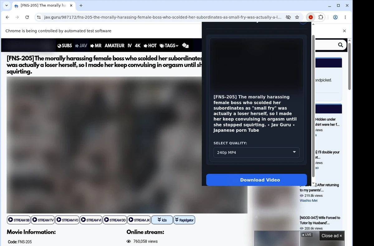 JAV Downloader ready state screenshot