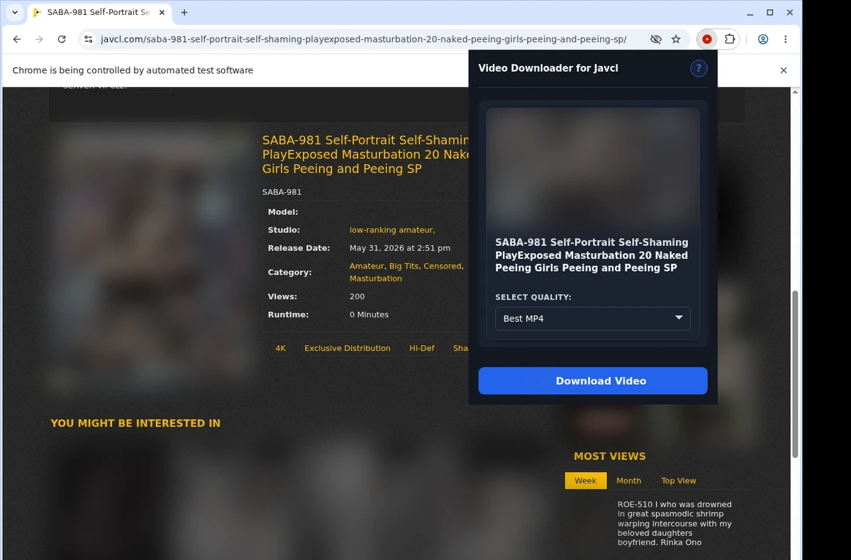 JavCL Video Downloader ready state screenshot