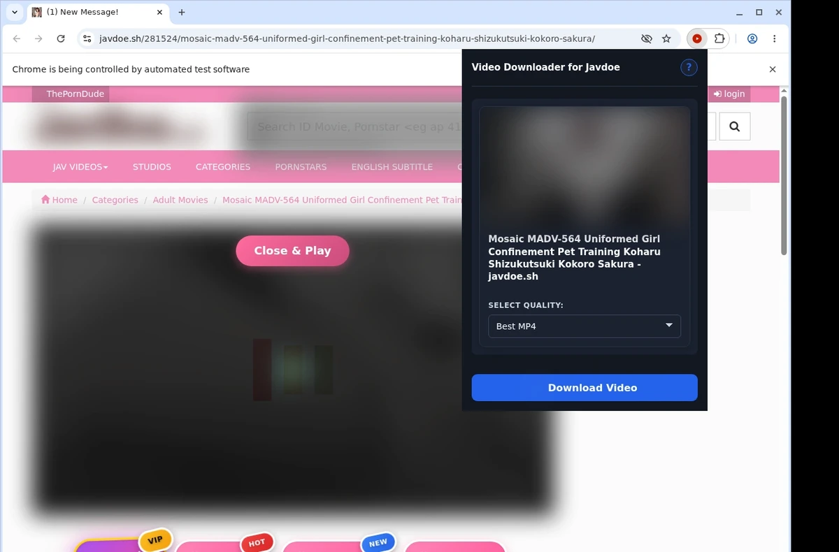 JavDoe Video Downloader ready state screenshot