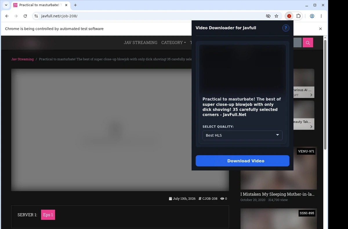 JavFull Video Downloader ready state screenshot