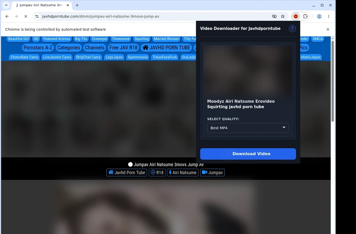 JavHD PornTube Downloader ready state screenshot