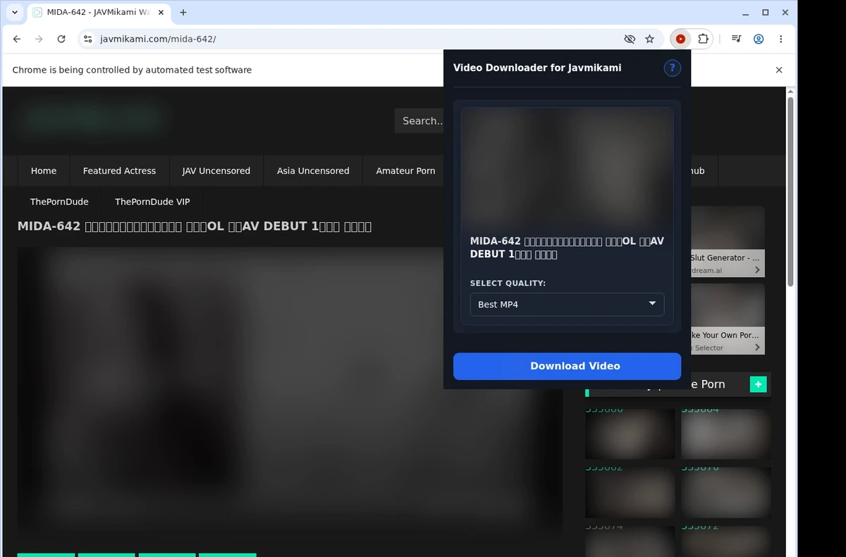 JavMikami Video Downloader ready state screenshot