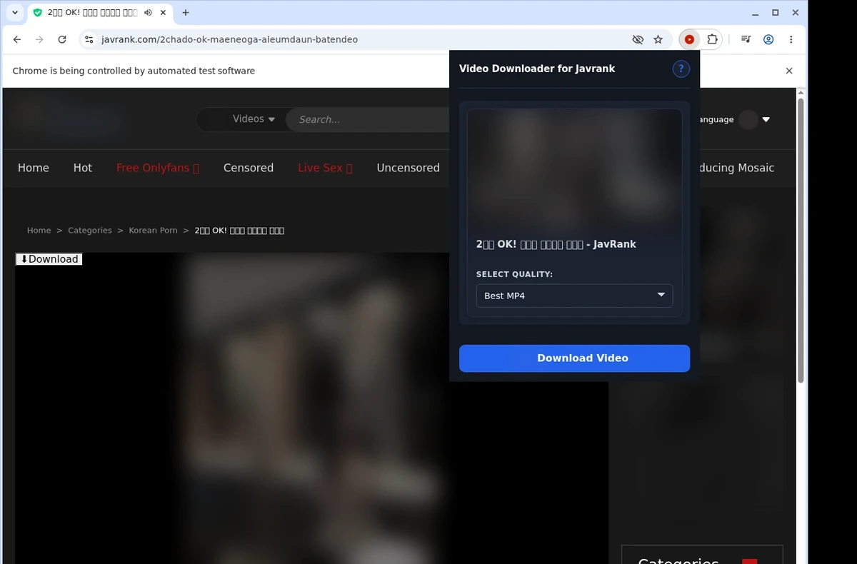 JavRank Video Downloader ready state screenshot