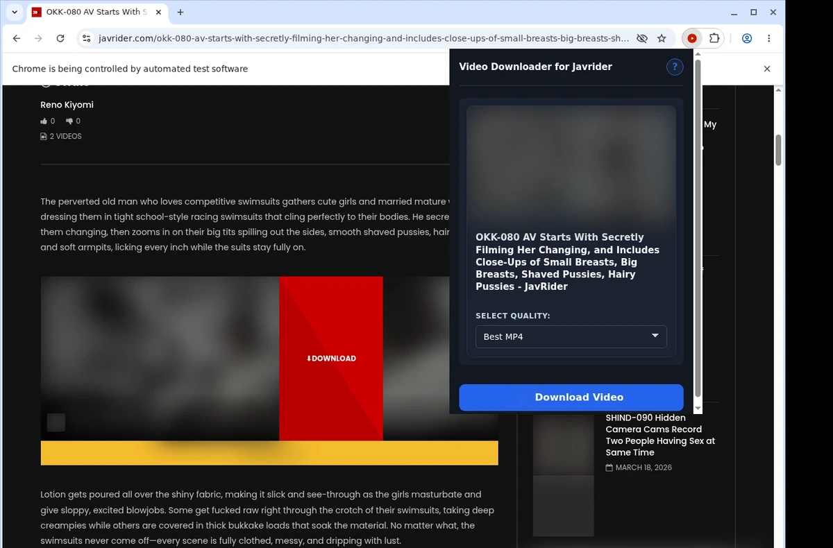 JavRider Video Downloader ready state screenshot