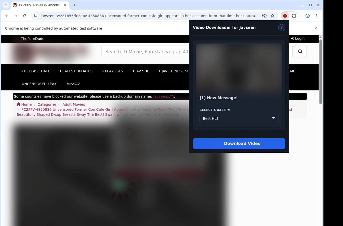 Javseen Video Downloader ready state screenshot