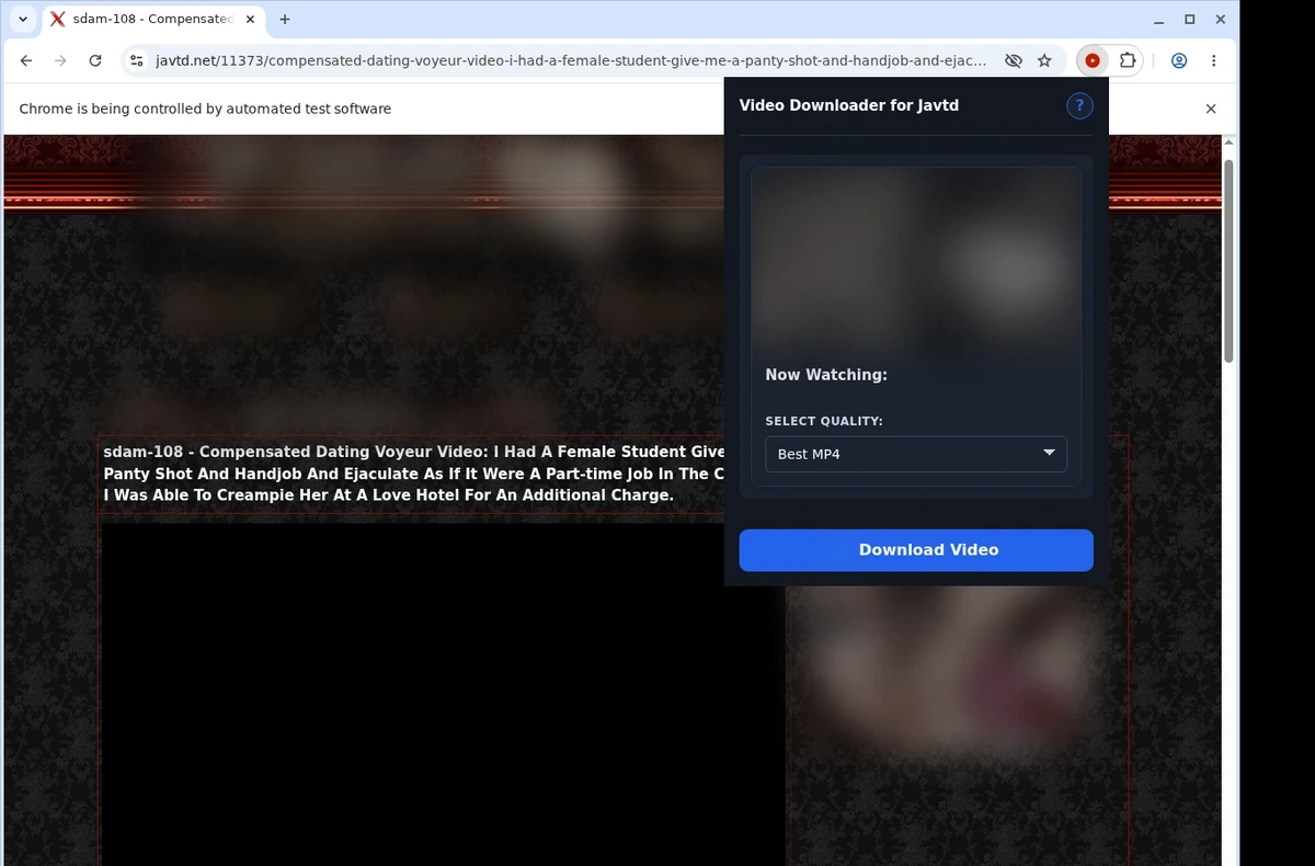 Javtd Video Downloader ready state screenshot