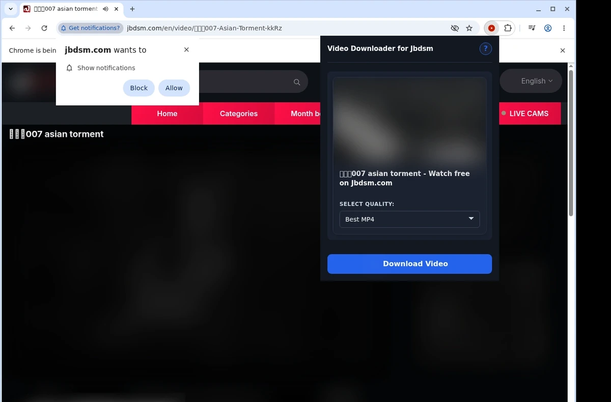 Jbdsm Video Downloader ready state screenshot