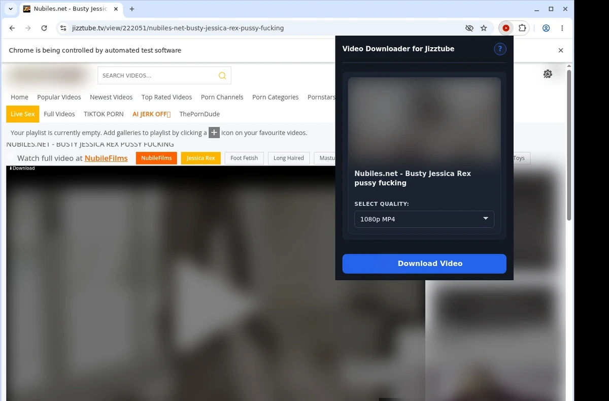 Jizztube Video Downloader ready state screenshot