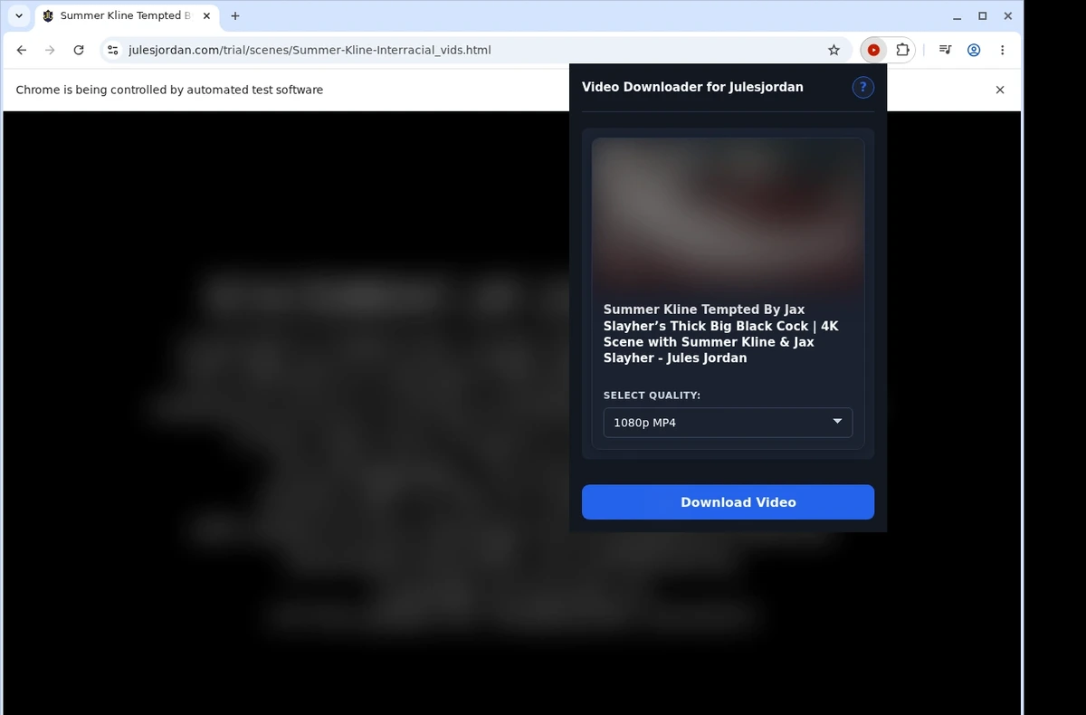 Jules Jordan Video Downloader ready state screenshot