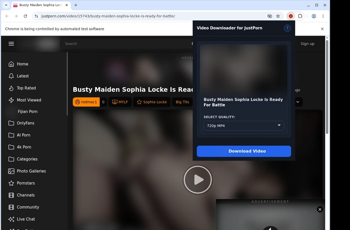 JustPorn Video Downloader ready state screenshot