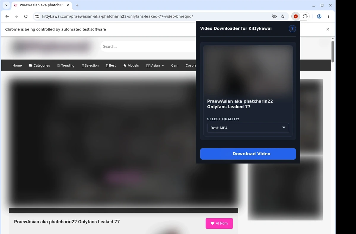 Kittykawai Video Downloader ready state screenshot