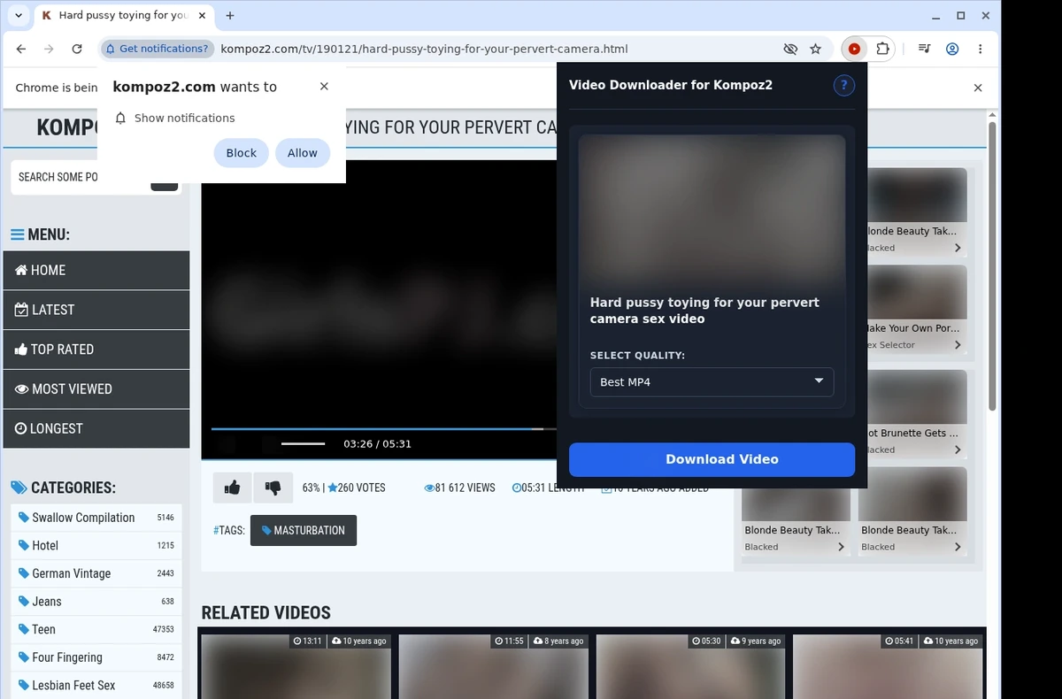 Kompoz2 Video Downloader ready state screenshot
