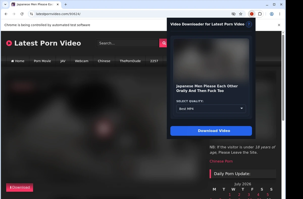 Latest Porn Video Downloader ready state screenshot