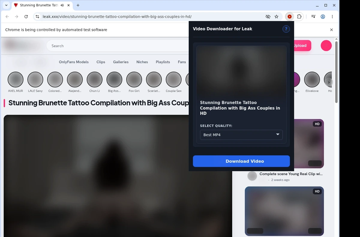 Leak.xxx Downloader ready state screenshot
