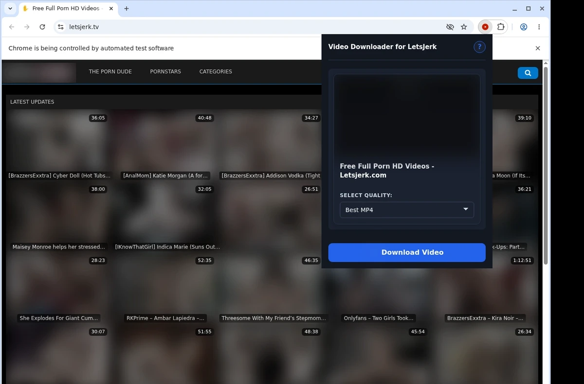 LetsJerk Video Downloader ready state screenshot