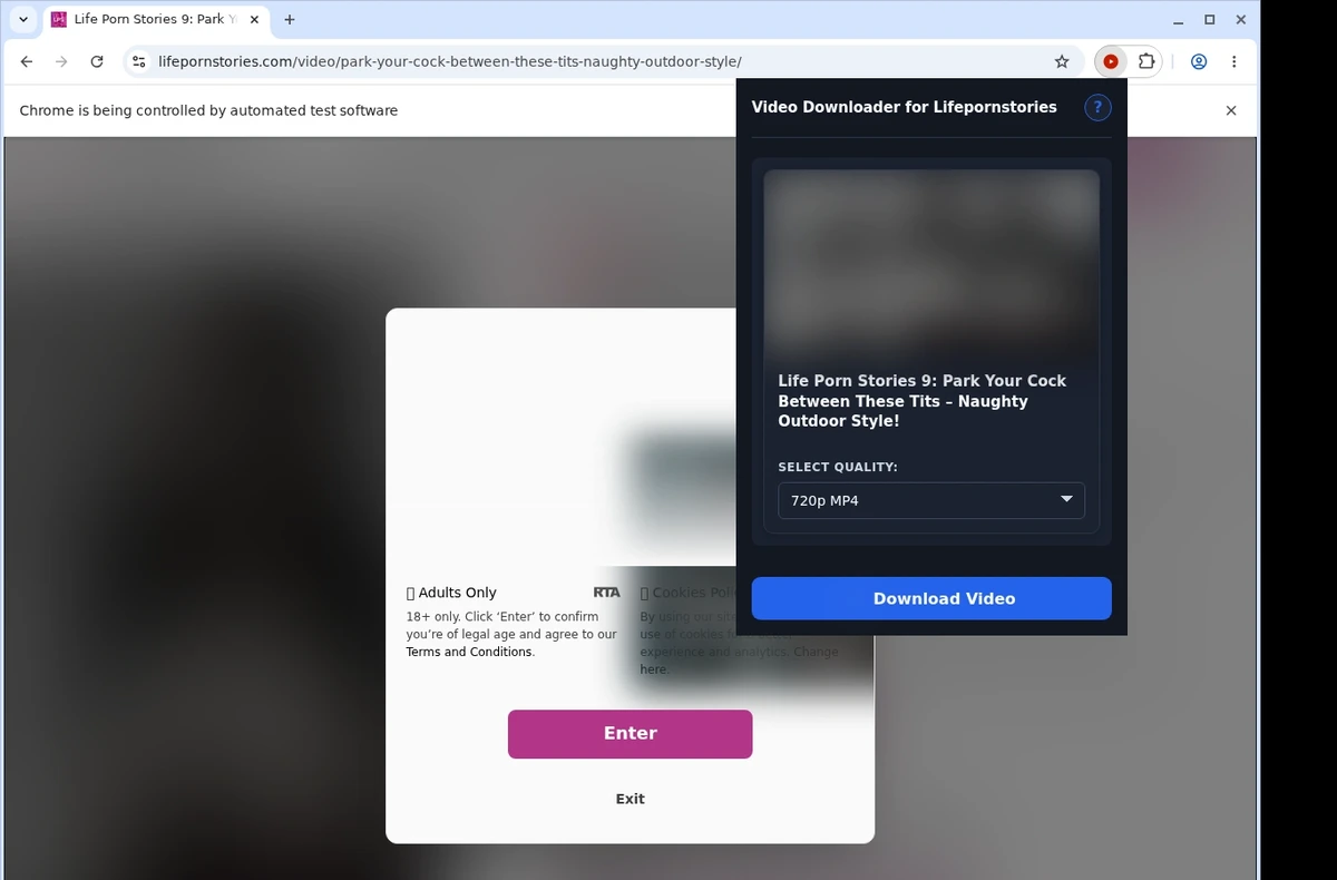 LifePornStories Video Downloader ready state screenshot