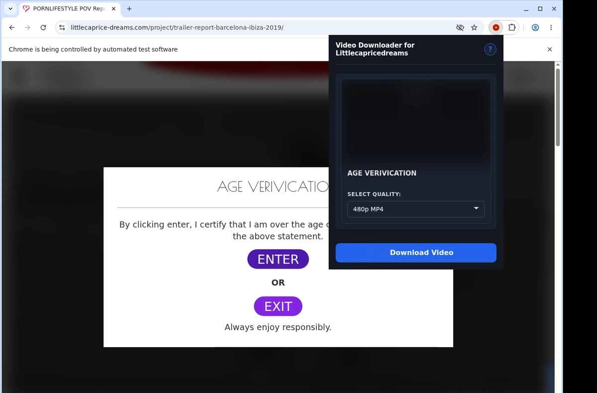 Little Caprice Dreams Video Downloader ready state screenshot