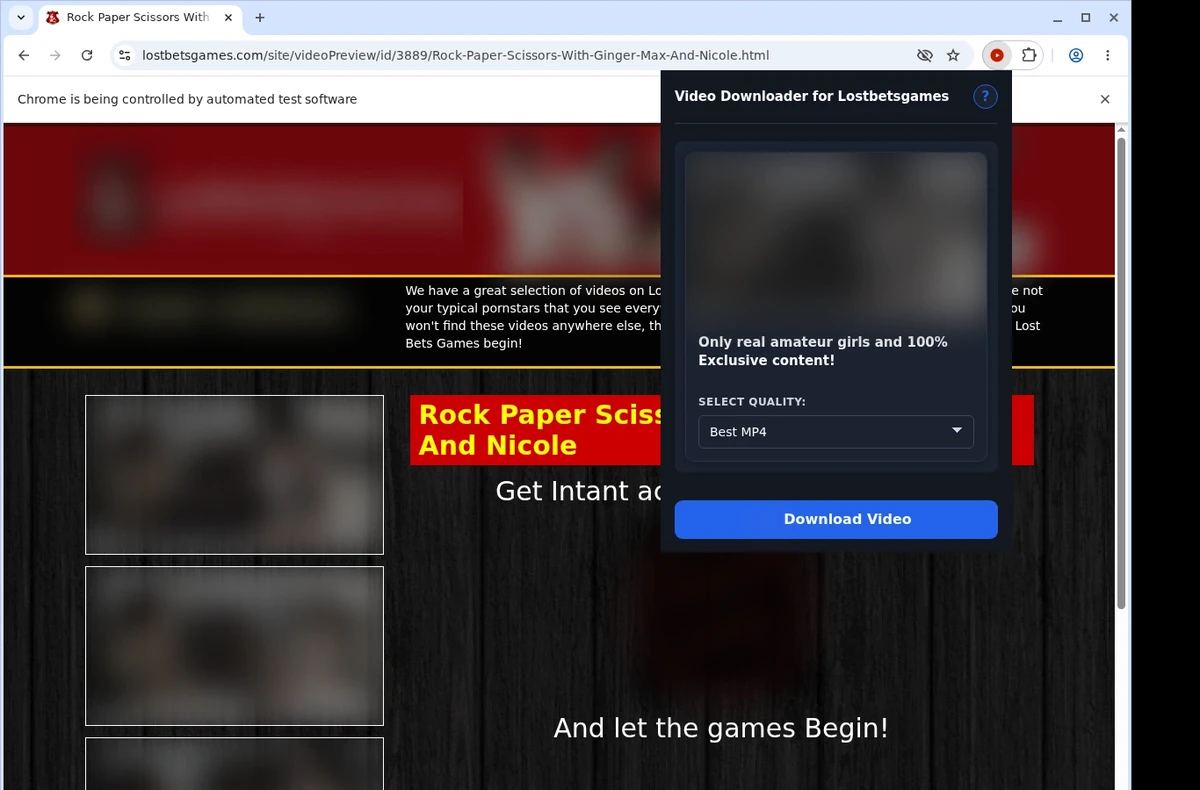 LostBetsGames Video Downloader ready state screenshot