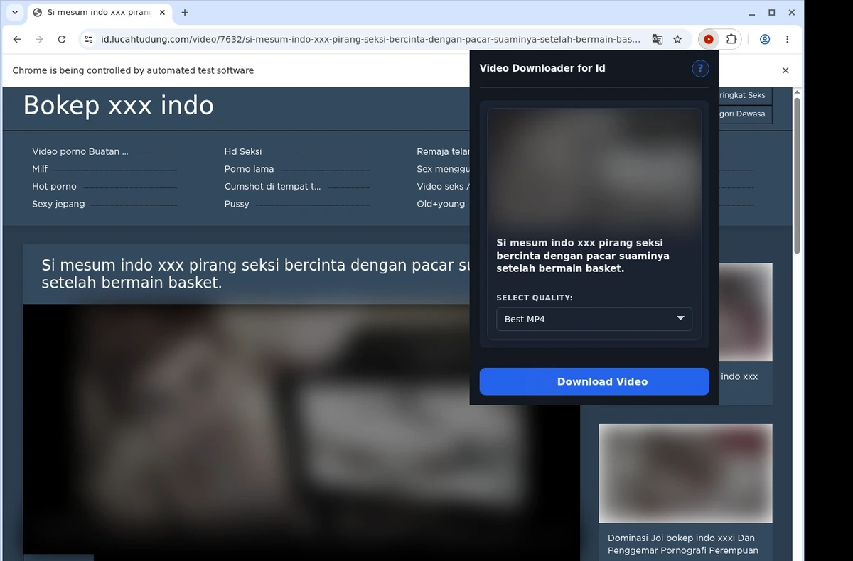LucahTudung Video Downloader ready state screenshot
