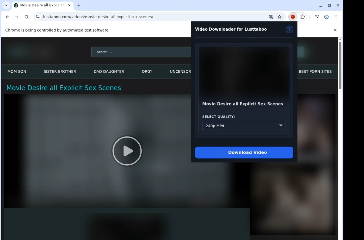 LustTaboo Video Downloader ready state screenshot