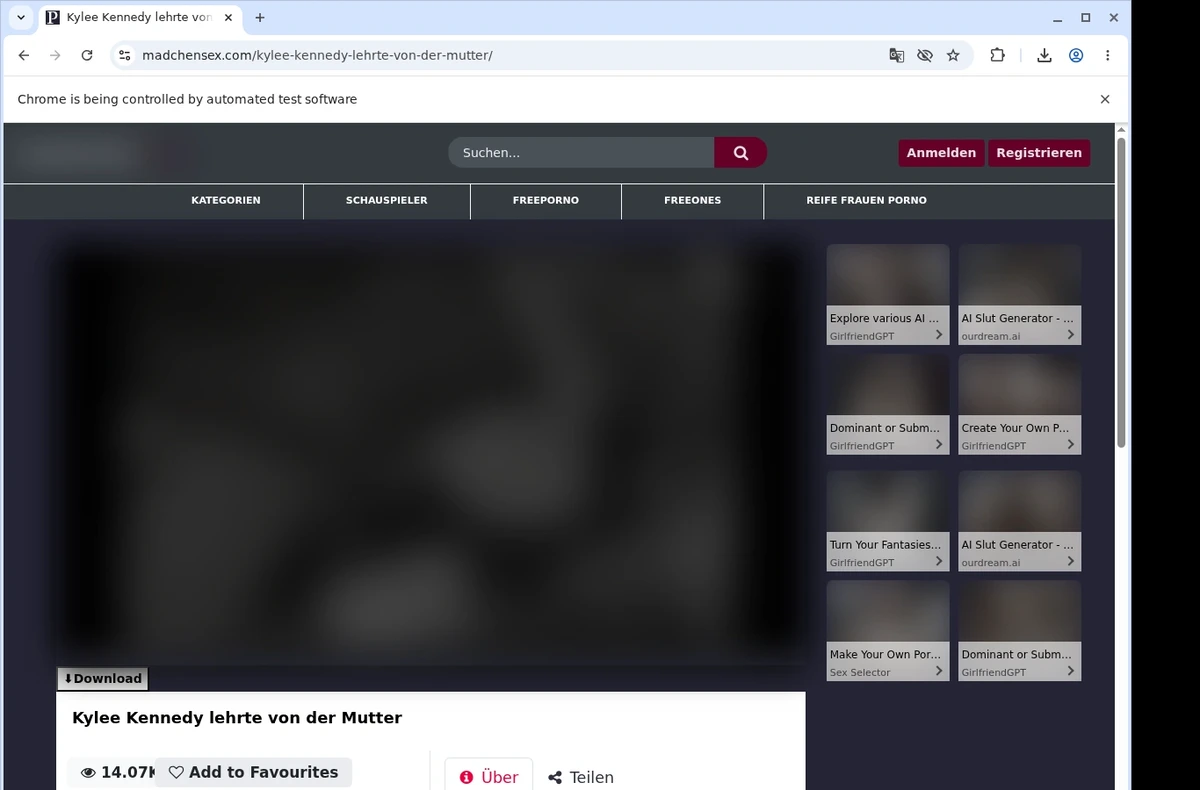 MadchenSex Video Downloader ready state screenshot