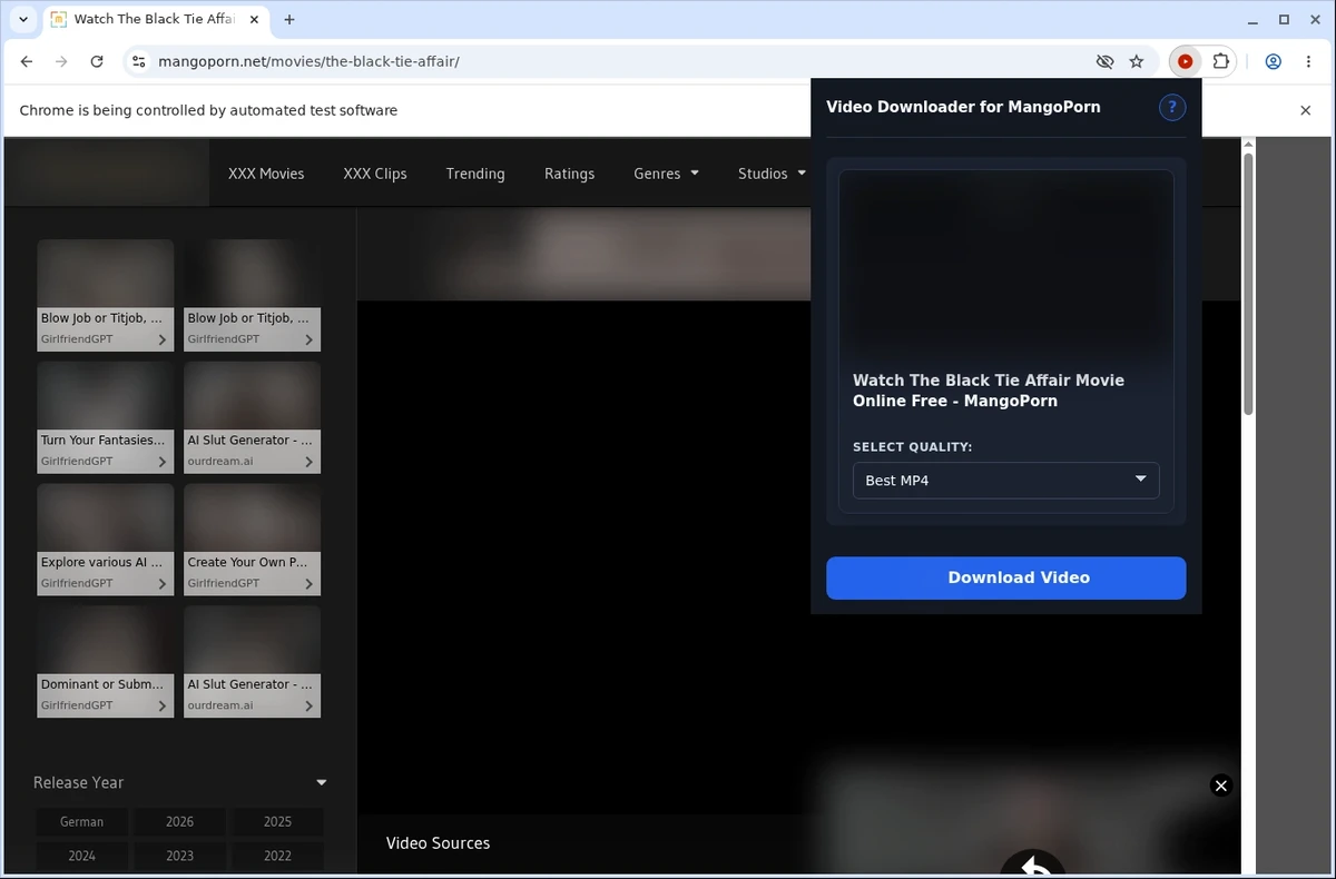 MangoPorn Video Downloader ready state screenshot