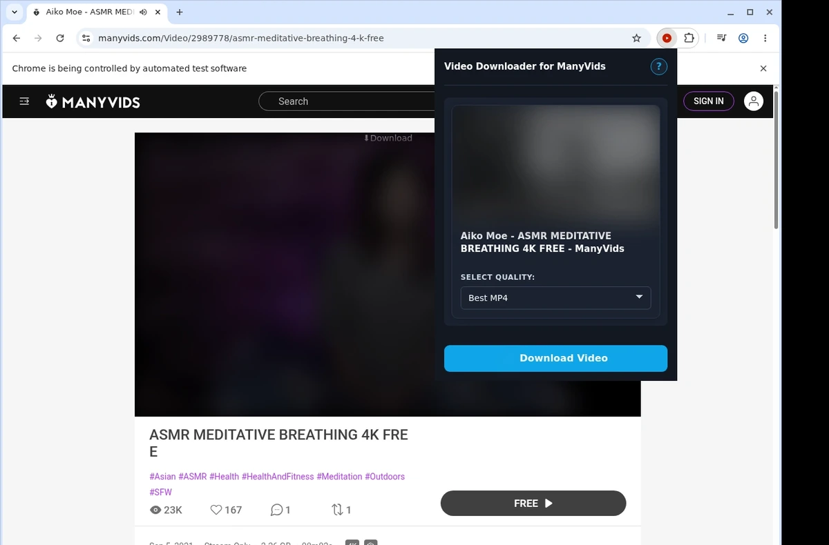 ManyVids Video Downloader ready state screenshot