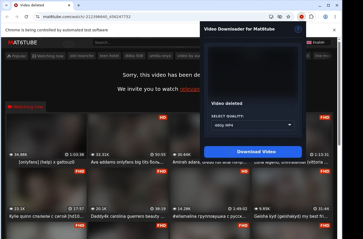 Mat6tube Video Downloader ready state screenshot