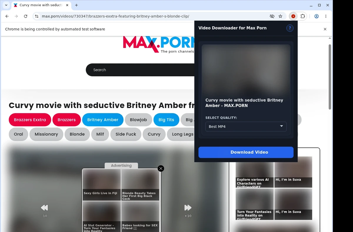 Max.porn Video Downloader ready state screenshot