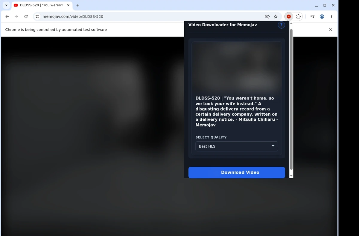 MemoJav Downloader ready state screenshot