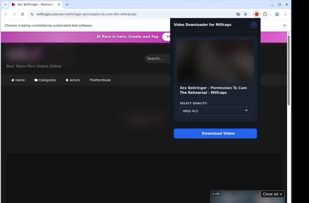 Milfcaps Downloader ready state screenshot