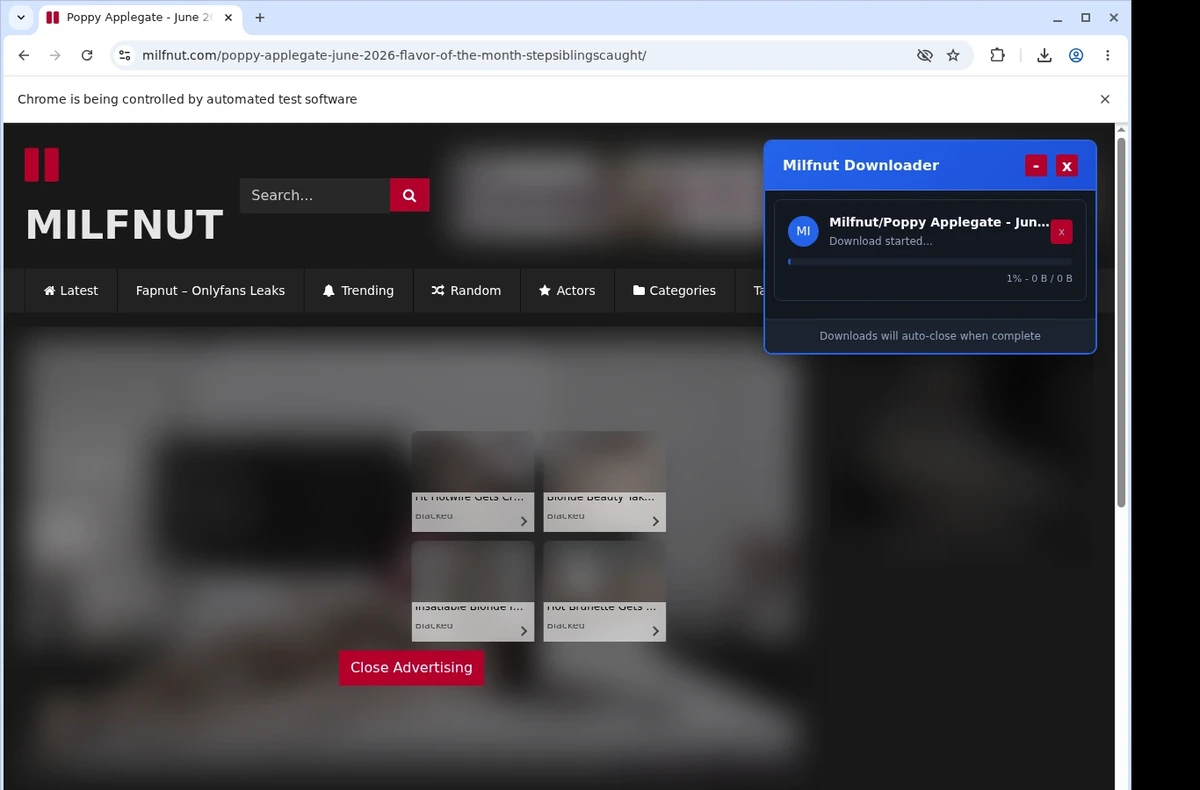 Milfnut Video Downloader ready state screenshot