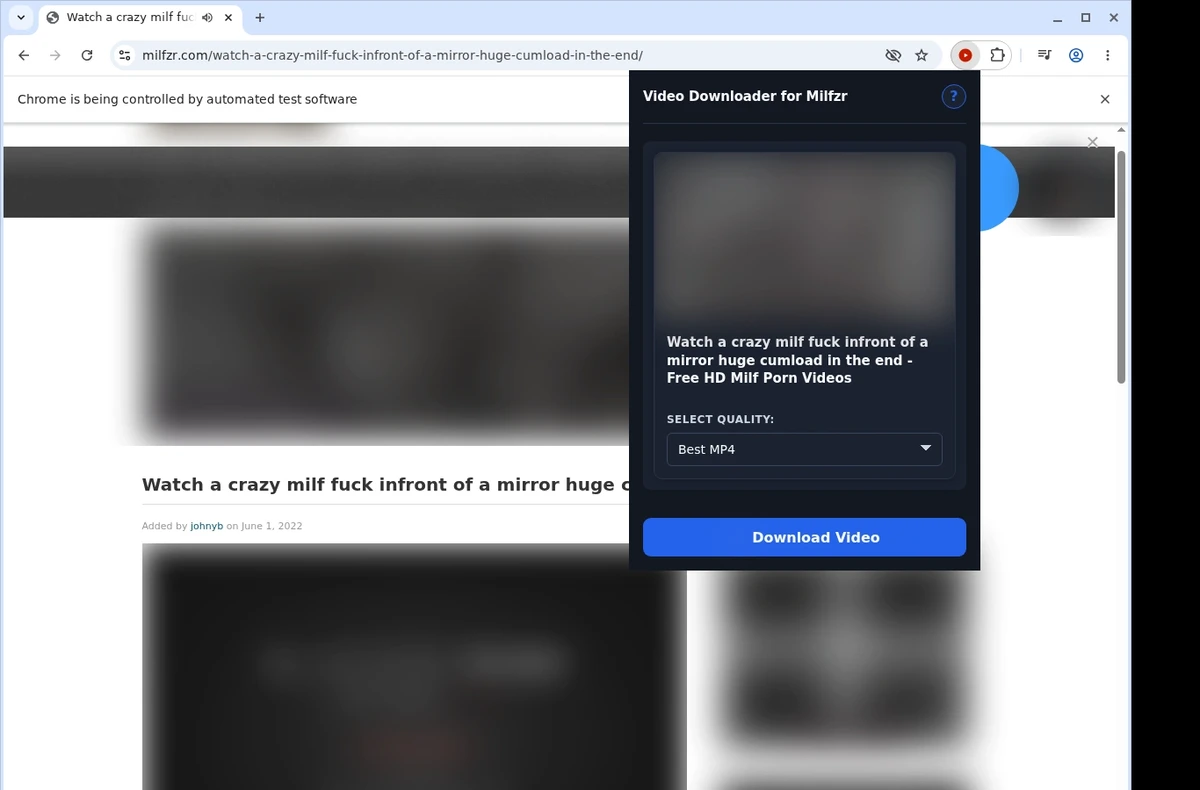 Milfzr Video Downloader ready state screenshot