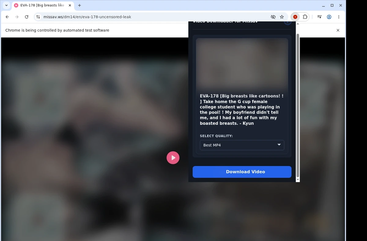 Missav Downloader ready state screenshot
