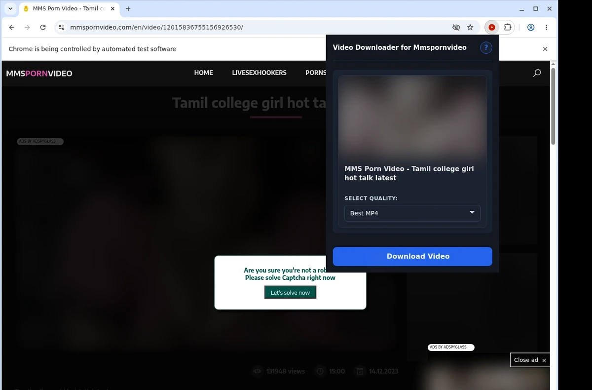 MMSPornVideo Downloader ready state screenshot