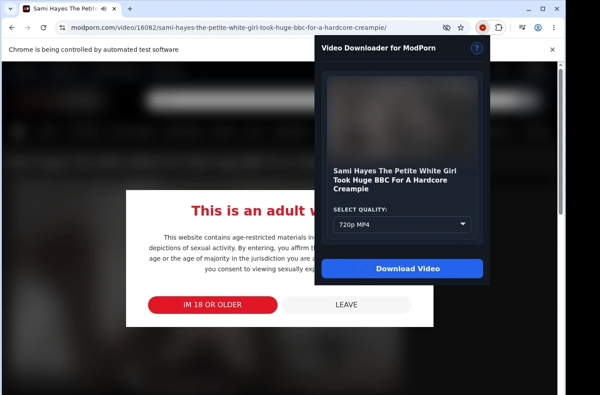 ModPorn Downloader ready state screenshot
