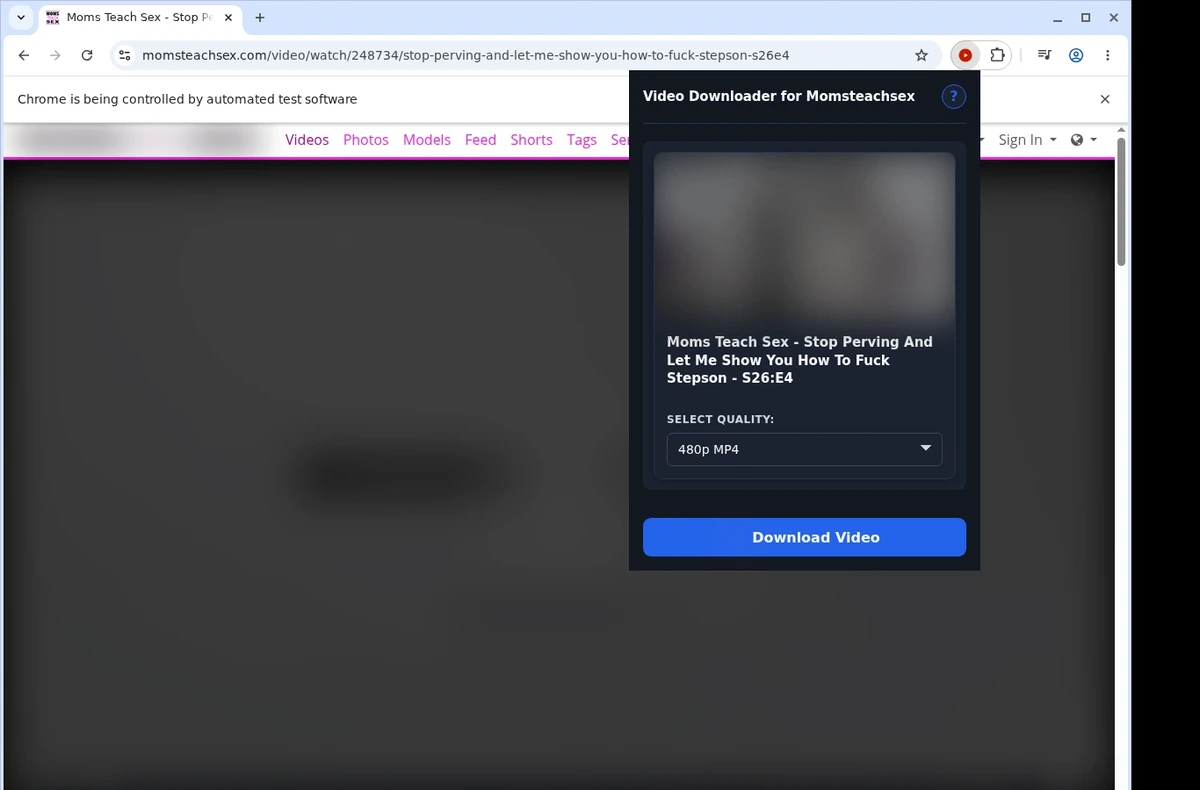 MomsTeachSex Video Downloader ready state screenshot