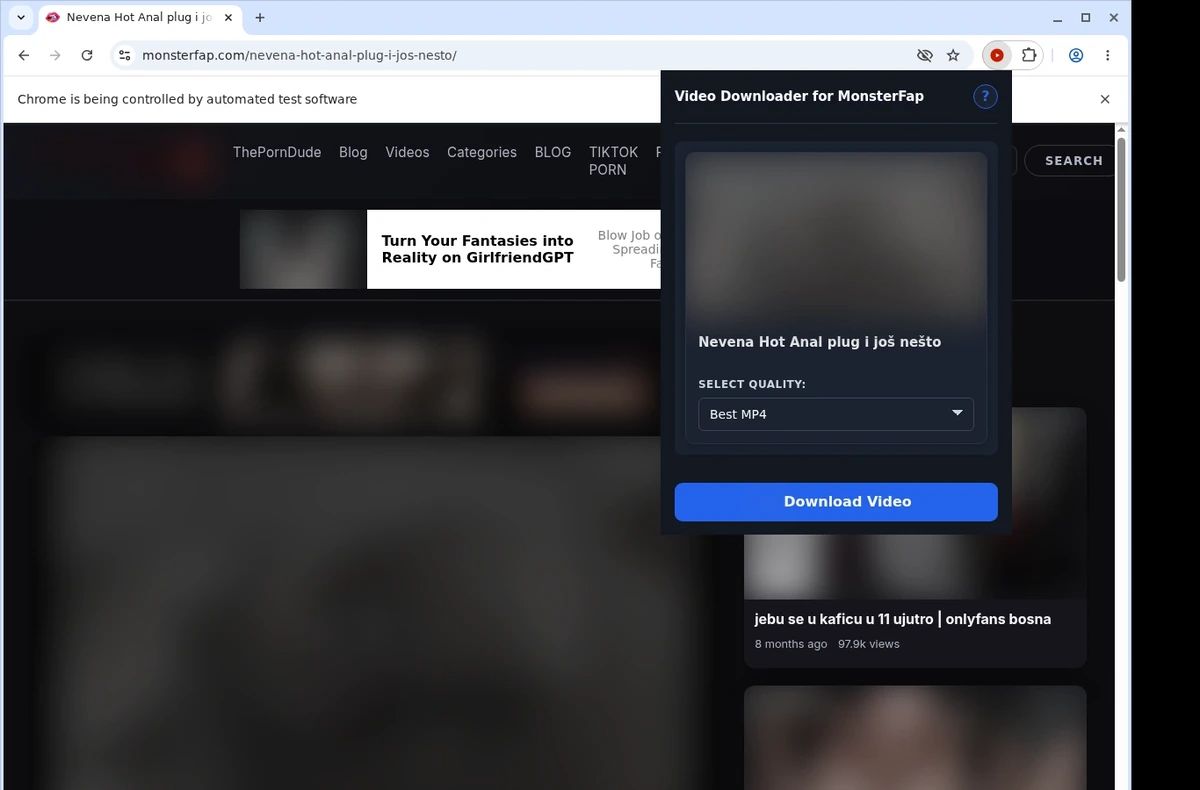MonsterFap Downloader ready state screenshot