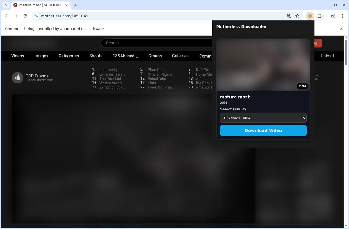 Motherless Downloader fullscreen screenshot