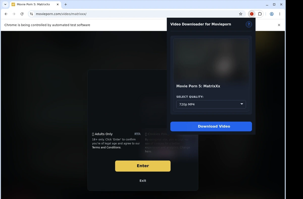 Movieporn Video Downloader ready state screenshot