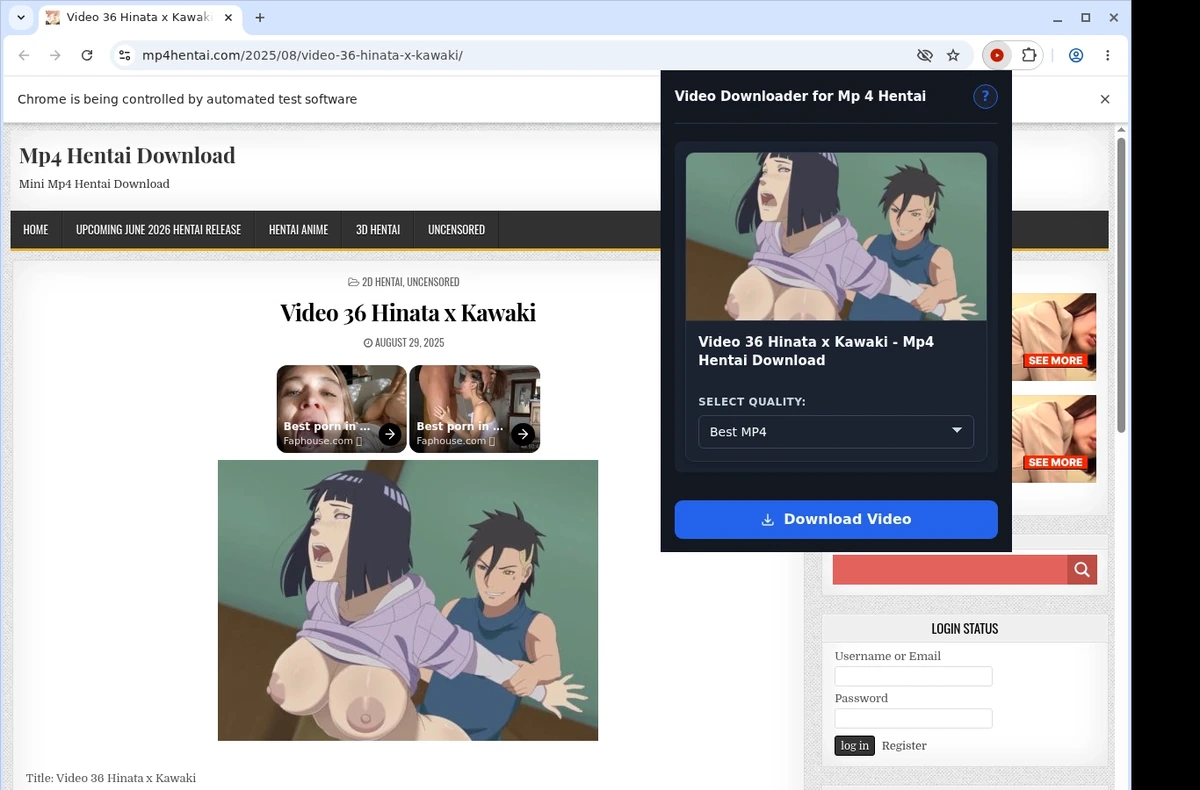 MP4Hentai Downloader ready state screenshot