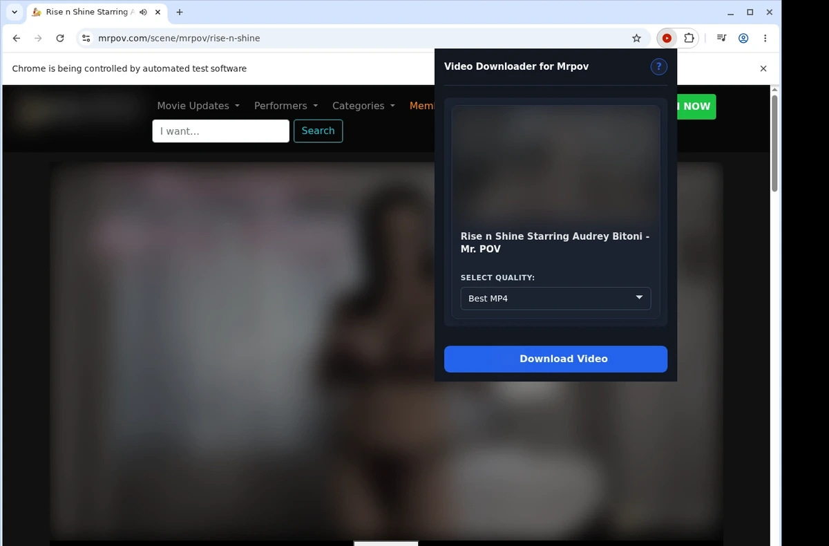 MrPOV Video Downloader ready state screenshot