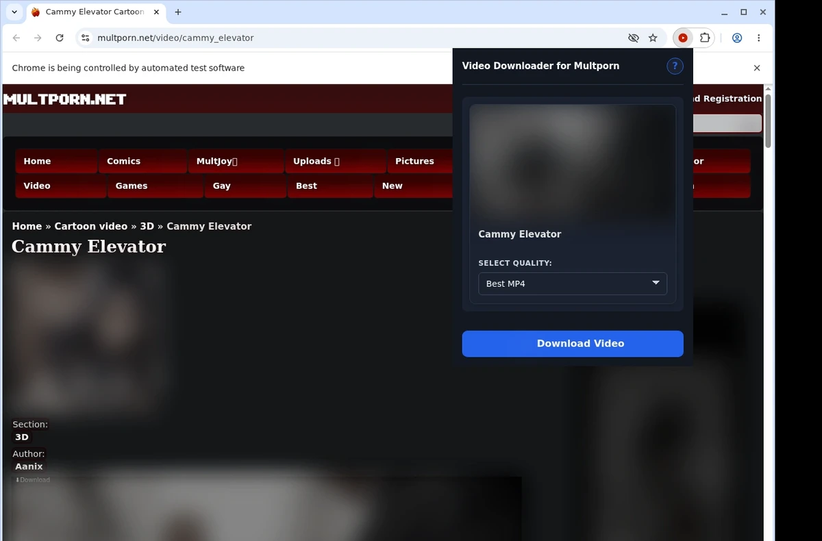 Multporn Video Downloader ready state screenshot