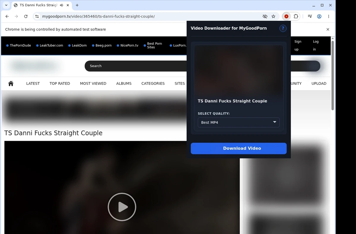 MyGoodPorn.tv Video Downloader ready state screenshot