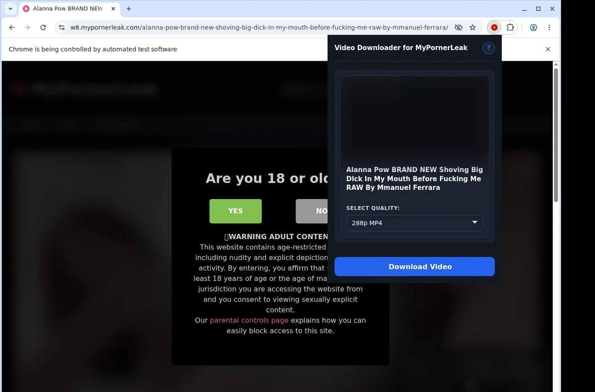 MyPornerLeak Video Downloader ready state screenshot