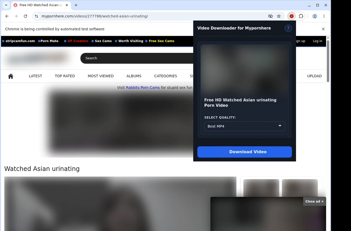 Mypornhere Video Downloader ready state screenshot